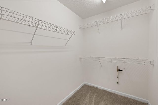 2120 Castle Pines Drive, Raleigh, NC 27604