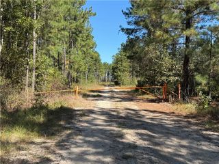 39.38 Branson Road, Townsend, GA 31331