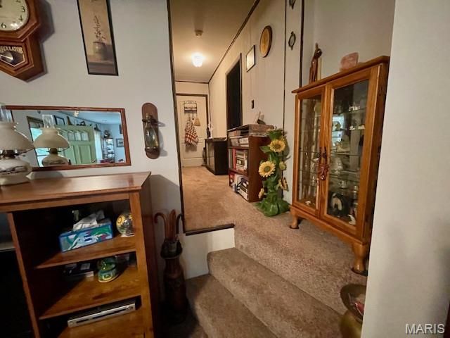 1721 County Road 96, Ironton, MO 63650