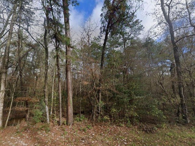 10936 Royal Magnolia, Conroe, TX 77303