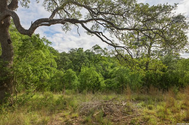 26719 PECAN BLF, Boerne, TX 78006