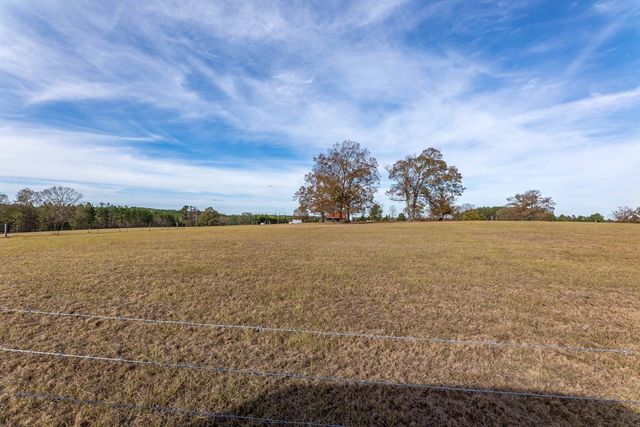 297 Ga Highway 0240, Buena Vista, GA 31803