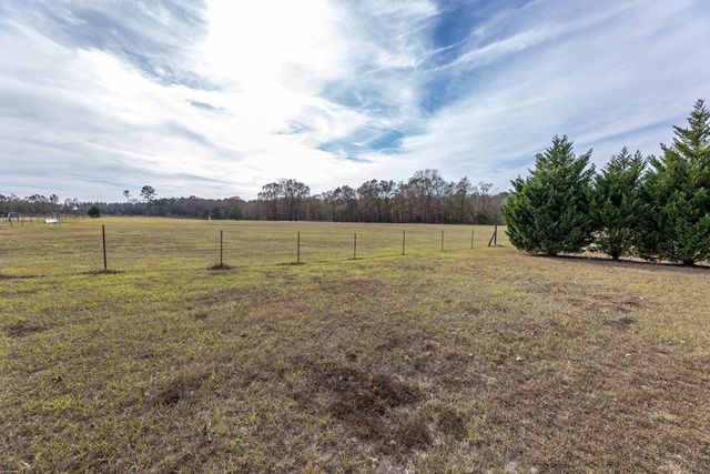 297 Ga Highway 0240, Buena Vista, GA 31803