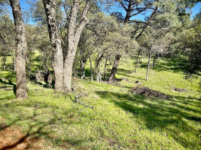 790 Los Verjeles Rd, Bangor, CA 95901