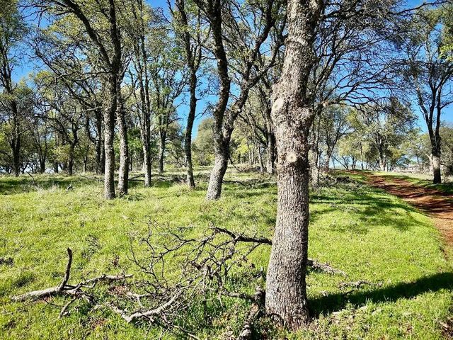 790 Los Verjeles Rd, Bangor, CA 95901