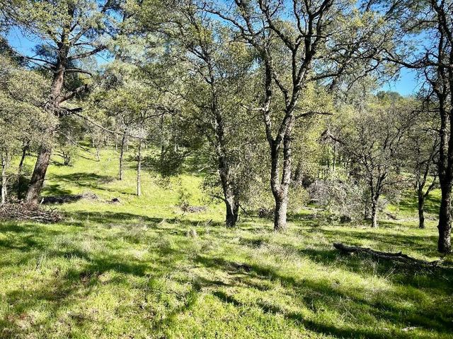 790 Los Verjeles Rd, Bangor, CA 95901