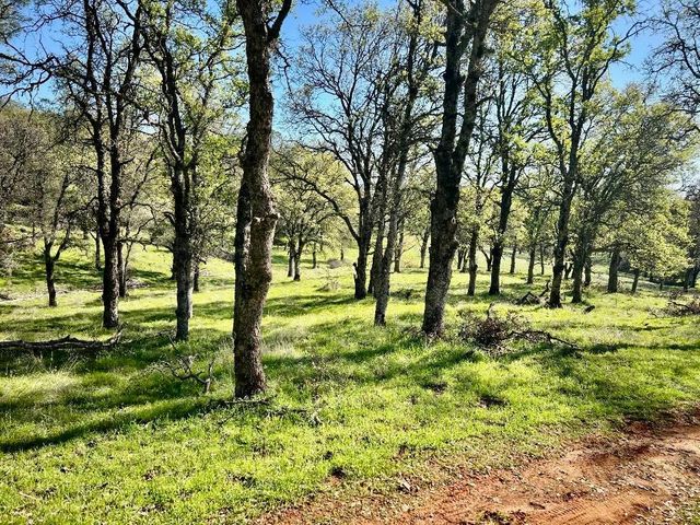 790 Los Verjeles Rd, Bangor, CA 95901