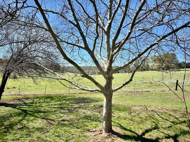 790 Los Verjeles Rd, Bangor, CA 95901