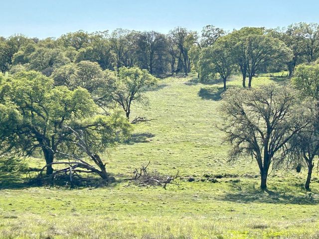 790 Los Verjeles Rd, Bangor, CA 95901