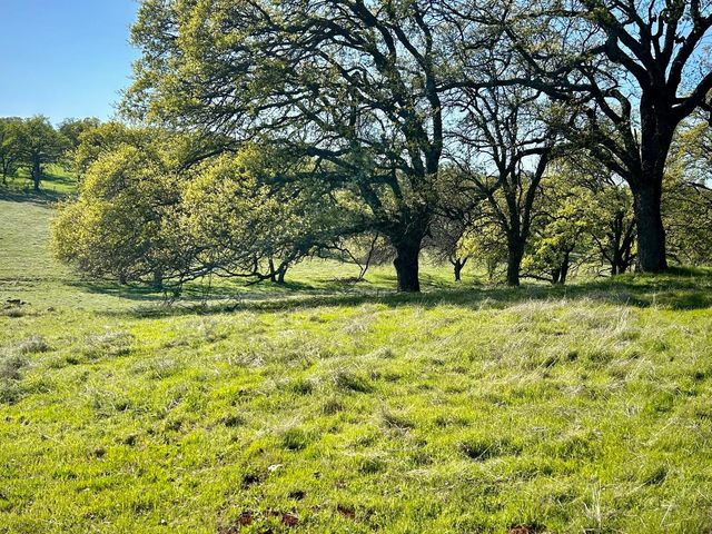 790 Los Verjeles Rd, Bangor, CA 95901