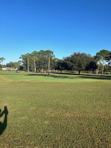 79 EAGLE POINT S, Osteen, FL 32764