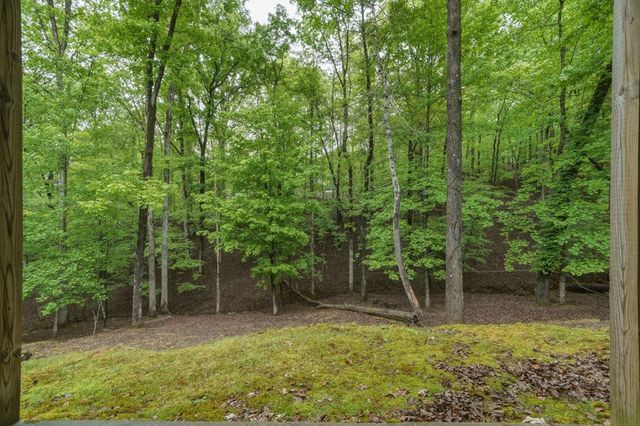 165 Pelican Drive, Ellijay, GA 30540