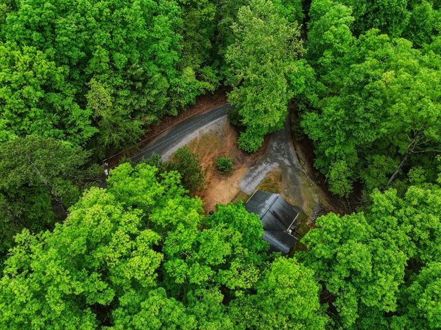 165 Pelican Drive, Ellijay, GA 30540