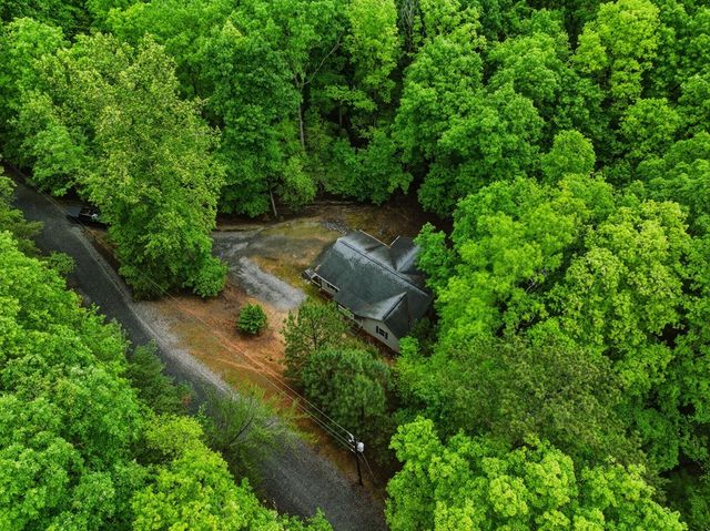 165 Pelican Drive, Ellijay, GA 30540