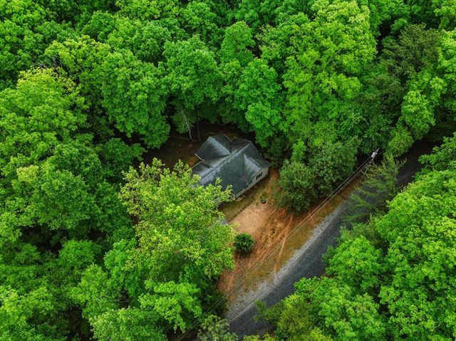 165 Pelican Drive, Ellijay, GA 30540