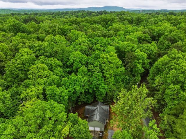165 Pelican Drive, Ellijay, GA 30540