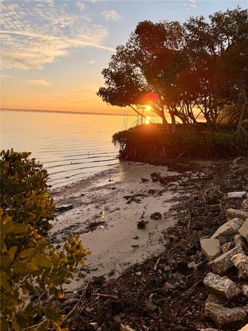 2980 HAINES BAYSHORE ROAD 124, Clearwater, FL 33760