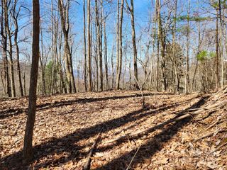 2252 Cutshall Town Road, Marshall, NC 28753