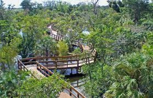 4601 NW 2nd Avenue 805, Boca Raton, FL 33431