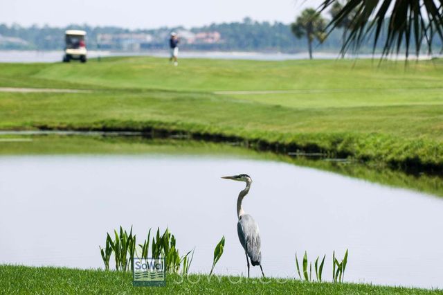 2 Sandestin Estates Drive, Miramar Beach, FL 32550