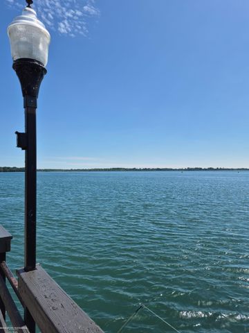 20 Chestnut Street, Wyandotte, MI 48192