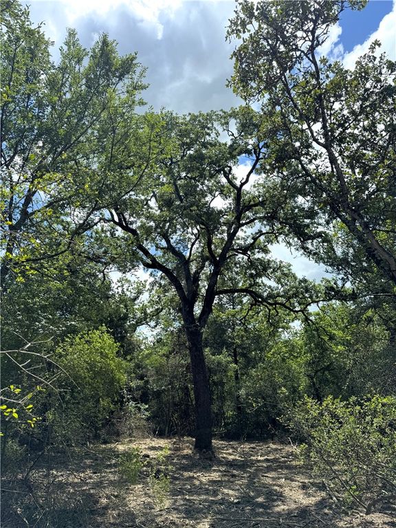 TBD Pin Oak Road, Franklin, TX 77856 — photo 2