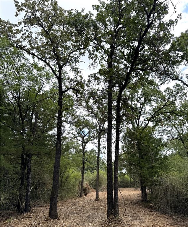 TBD Pin Oak Road, Franklin, TX 77856 — photo 3