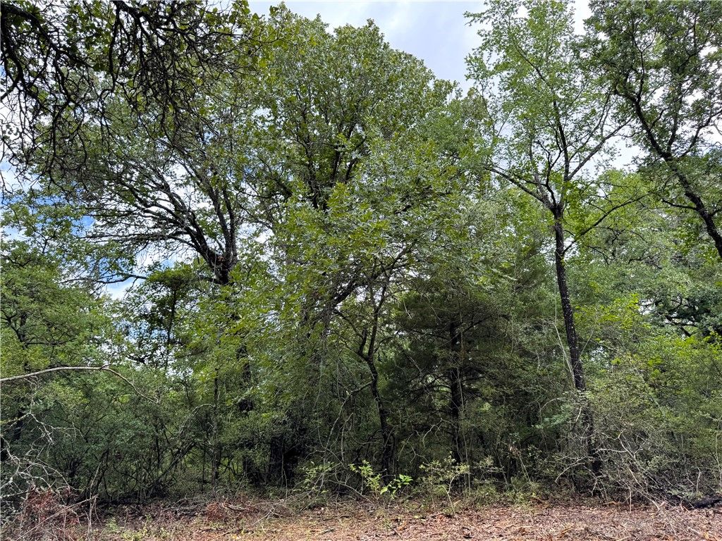 TBD Pin Oak Road, Franklin, TX 77856 — photo 4