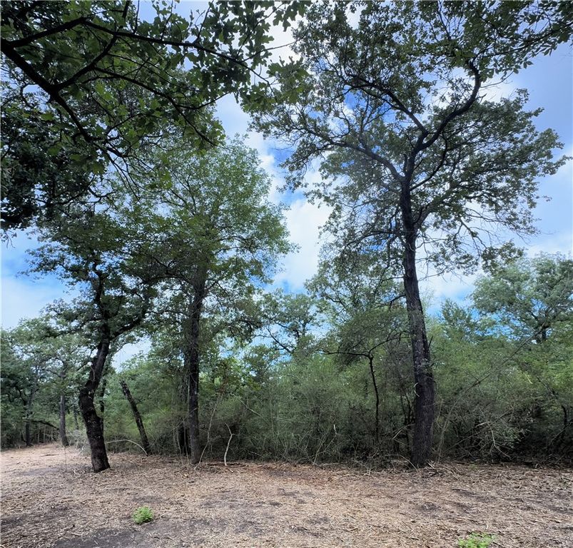 TBD Pin Oak Road, Franklin, TX 77856 — photo 5