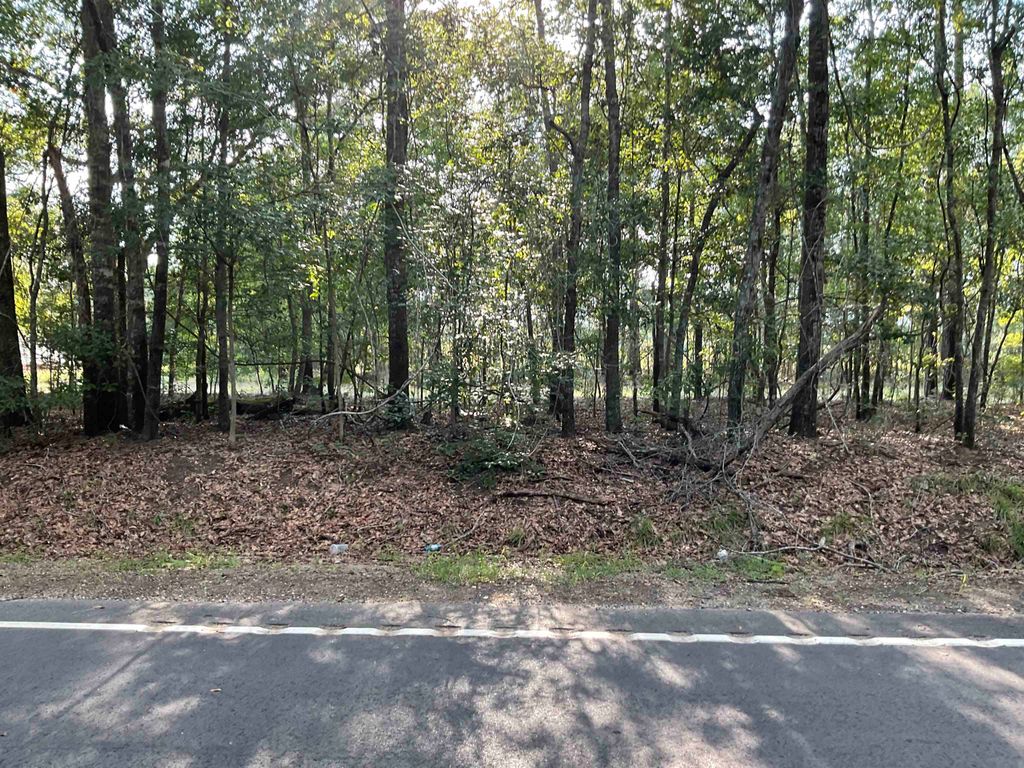 TBD Village Rd., Georgetown, SC 29440 — photo 3