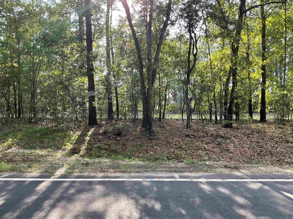 TBD Village Rd., Georgetown, SC 29440 — photo 5