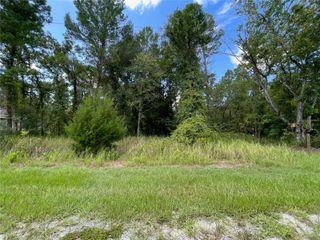 0 THRASHER AVENUE, Weeki Wachee, FL 34614