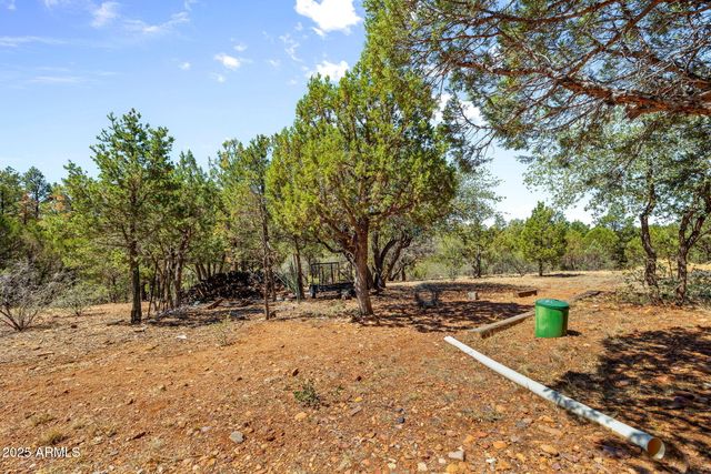 2321 CHANDELLE Lane, Overgaard, AZ 85933