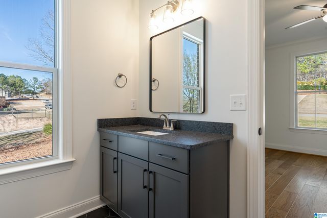 336 EMERALD LANE, Chelsea, AL 35043