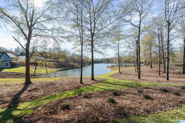 336 EMERALD LANE, Chelsea, AL 35043