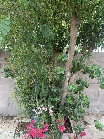 3429 W FRAKTUR Road, Phoenix, AZ 85041