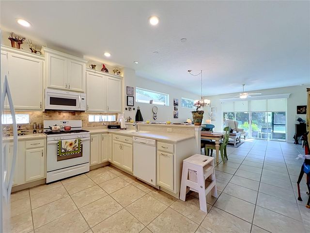 8290 BRIDGEPORT BAY, Mount Dora, FL 32757