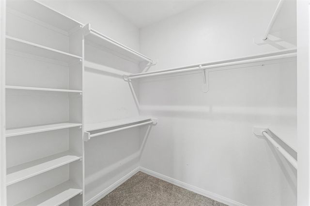 8211 James Franklin Street, Houston, TX 77088