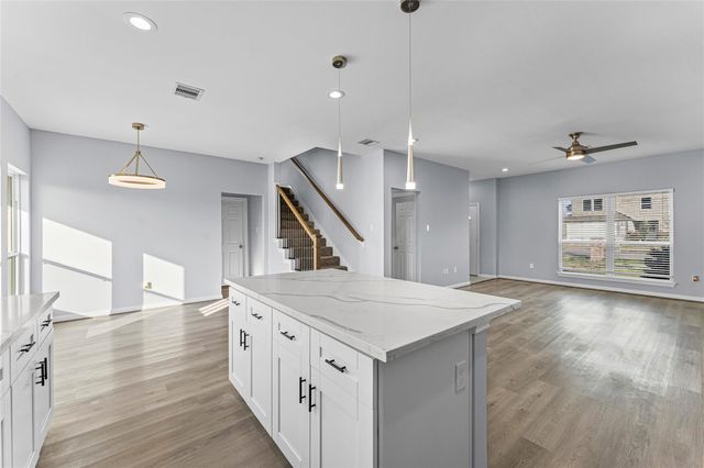 8211 James Franklin Street, Houston, TX 77088