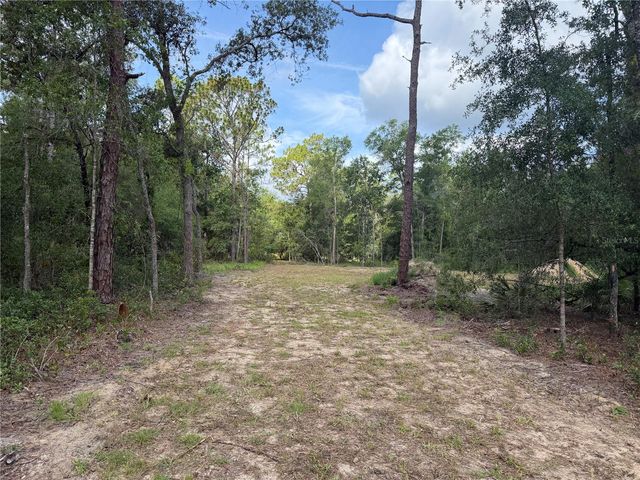 0 IDLEWOOD DRIVE, Webster, FL 33597