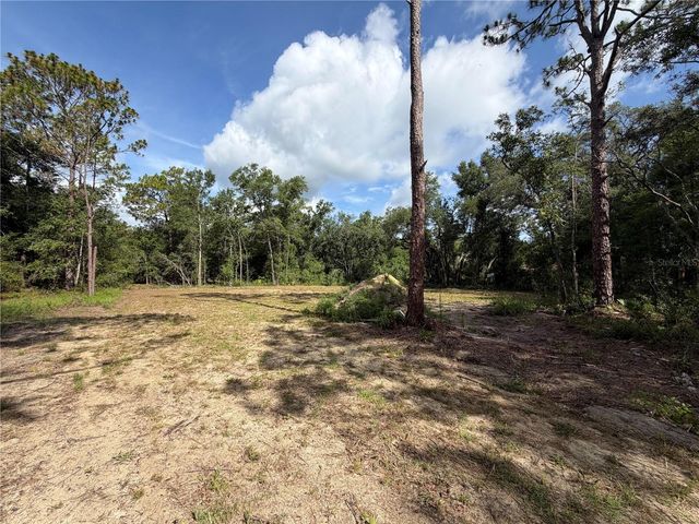 0 IDLEWOOD DRIVE, Webster, FL 33597