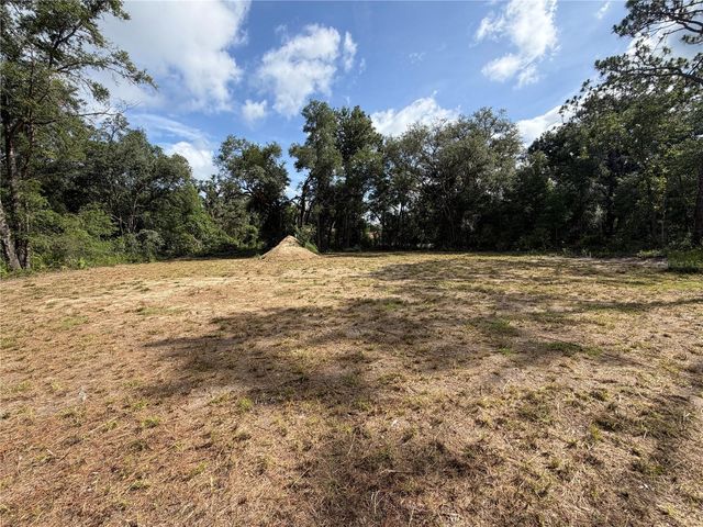 0 IDLEWOOD DRIVE, Webster, FL 33597