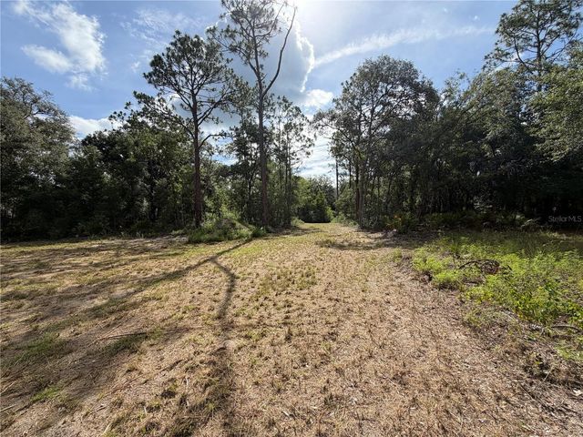0 IDLEWOOD DRIVE, Webster, FL 33597