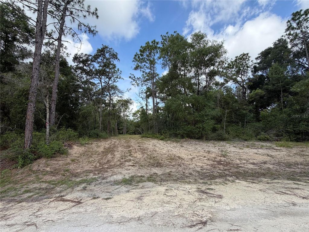 0 IDLEWOOD DRIVE, Webster, FL 33597