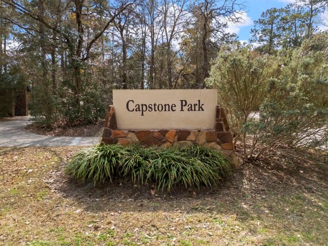 85 N Concord Forest Circle, The Woodlands, TX 77381