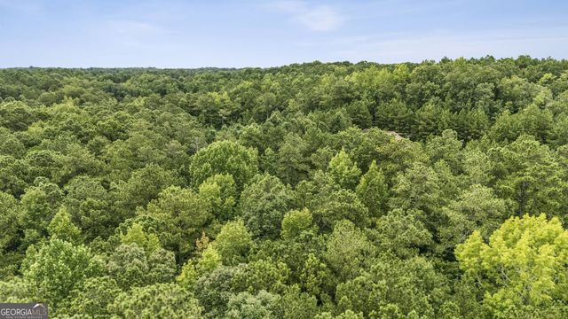 6733 Hwy 155 N, Stockbridge, GA 30281