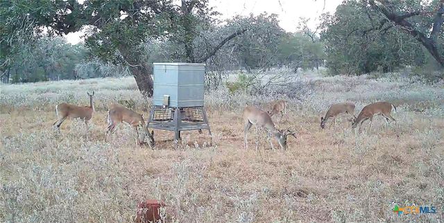 1224 Fm 3432, La Vernia, TX 78121