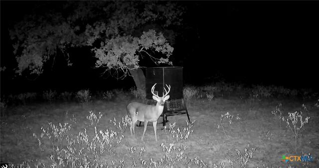 1224 Fm 3432, La Vernia, TX 78121