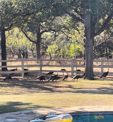 1224 Fm 3432, La Vernia, TX 78121