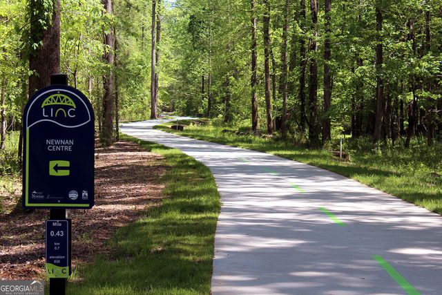 38 Remington Way, Newnan, GA 30263